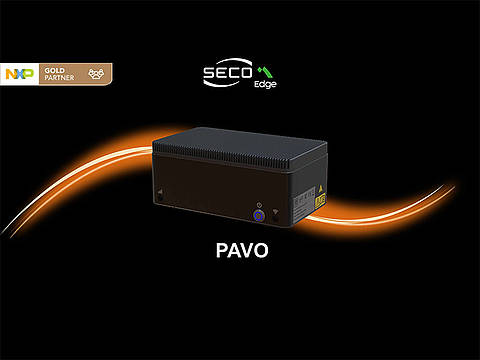 Pavo